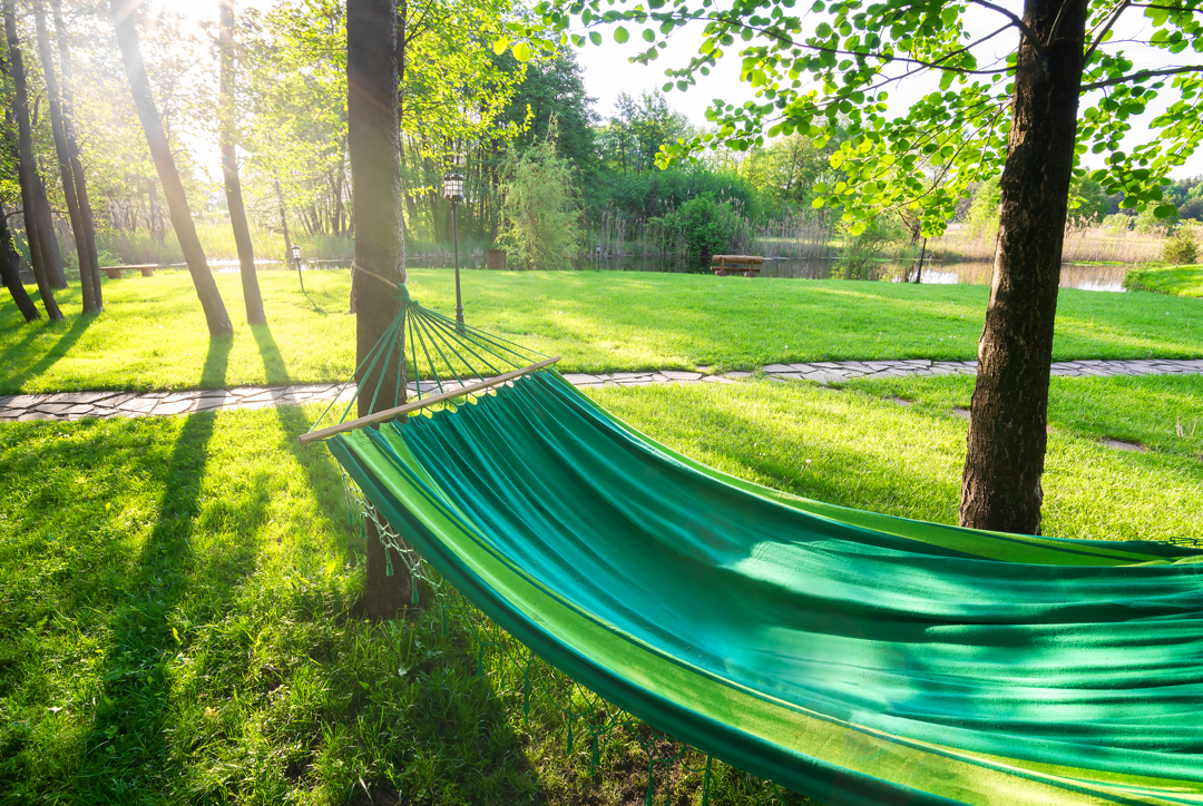 The Green Health Centre - Hammock swinging on green grass